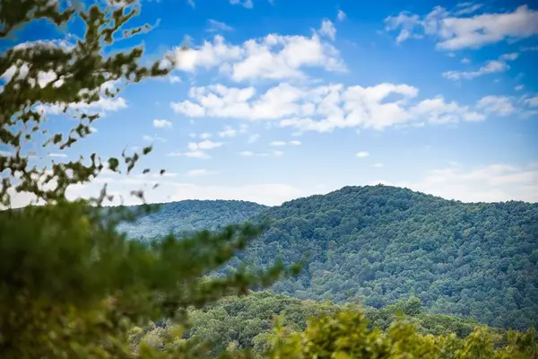Lot 16 Buckskin Drive, Blue Ridge, GA 30513