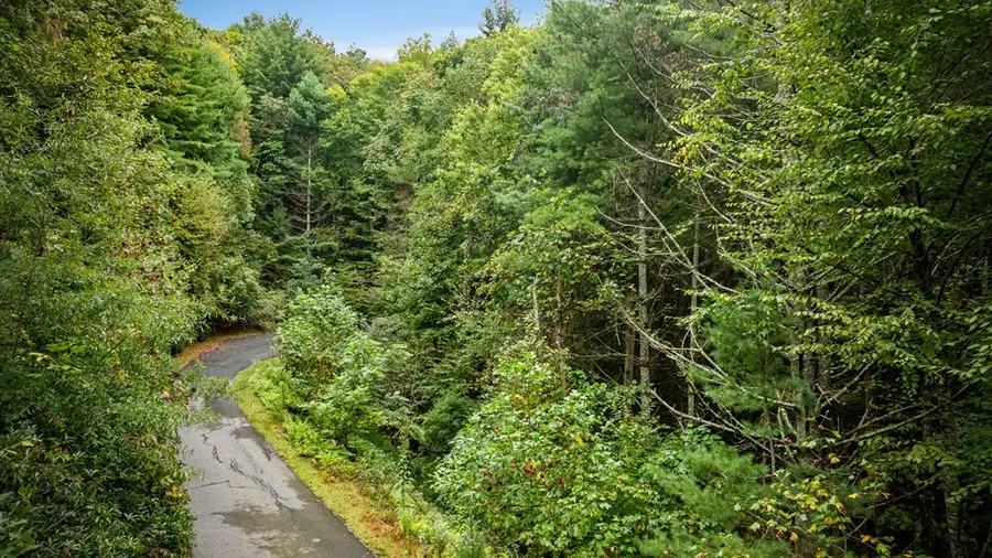 Lot 16 Buckskin Drive, Blue Ridge, GA 30513 - #2