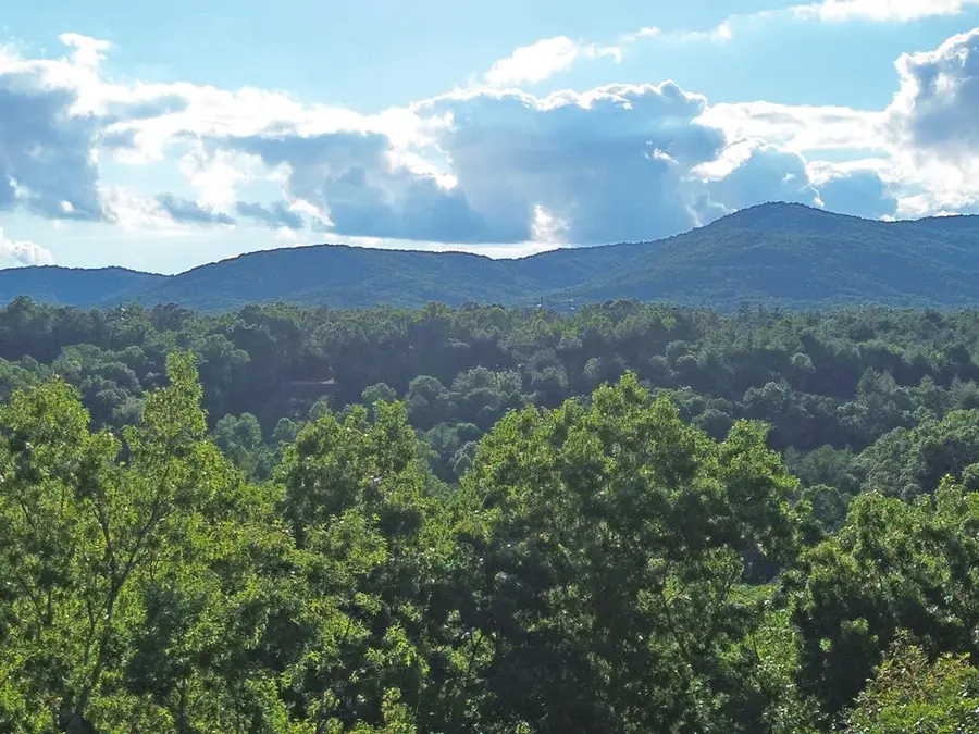 Lot 19 Mt. Springer Road, Ellijay, GA 30540 - #2