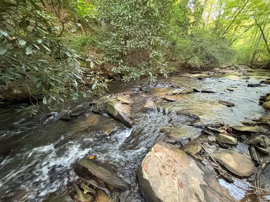 Lot 19 Mt. Springer Road, Ellijay, GA 30540 - #3