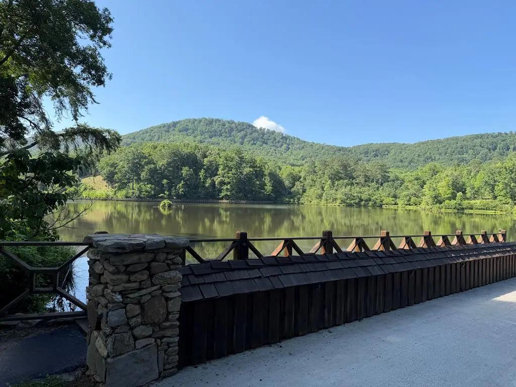 233 Stone Cliff Drive, Ellijay, GA 30560 - #1