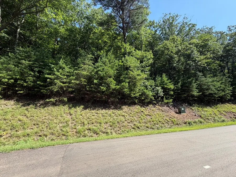 233 Stone Cliff Drive, Ellijay, GA 30560 - #2
