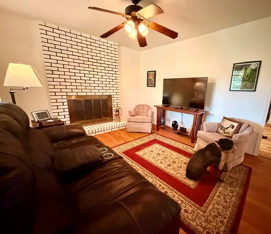 203 Jones Street, Blairsville, GA 30512 - #3