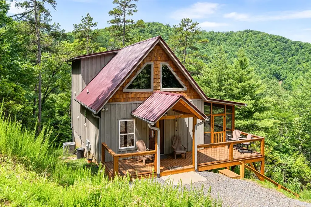 313 Lexington Drive, Brasstown, NC 28902 - #1