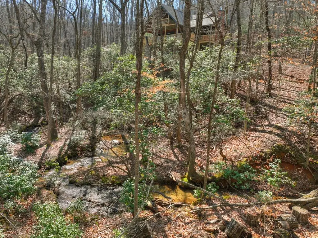 811 Mangums Trail, Blue Ridge, GA 30513 - #1