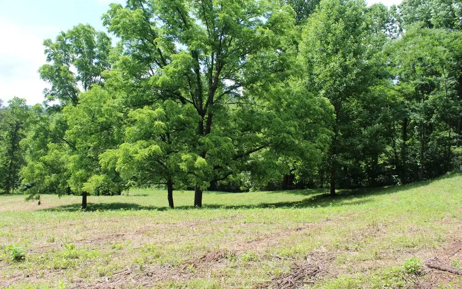 lot 8 High Meadows, Hayesville, NC 28904 - #2