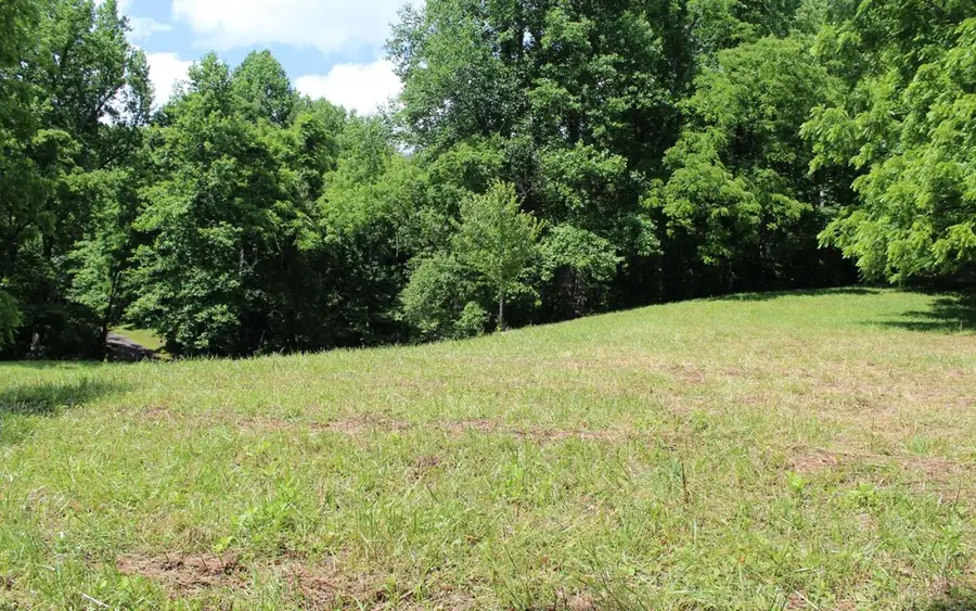 lot 8 High Meadows, Hayesville, NC 28904 - #3