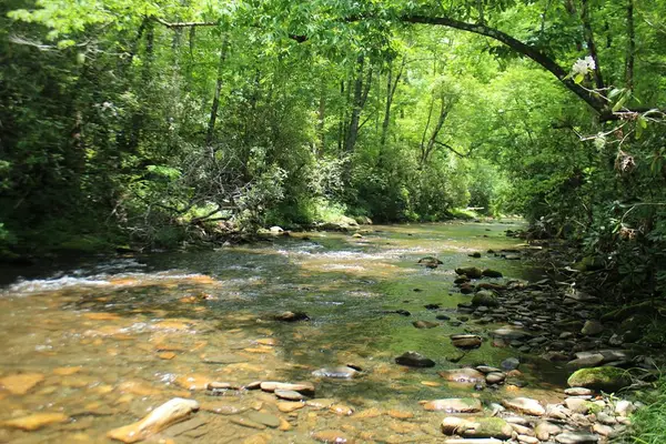 Lots 5,6 Slate Stone, Hayesville, NC 28904