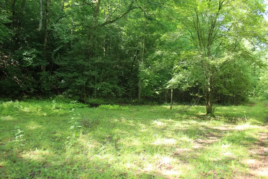 Lots 5,6 Slate Stone, Hayesville, NC 28904 - #3