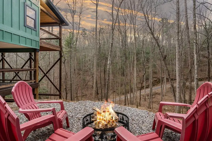 307 Ross Road, Mineral Bluff, GA 30559 - #3