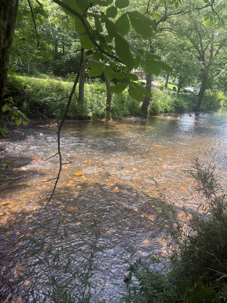 lot 6 Creekfront Lane, Hayesville, NC 28904 - #1