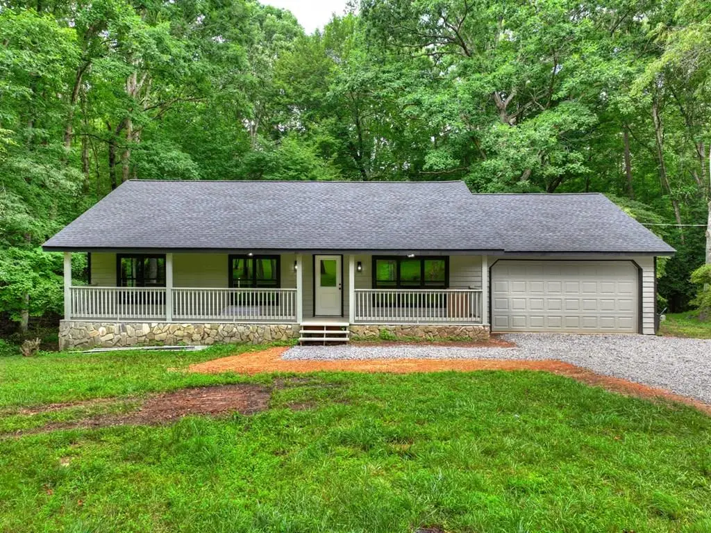 232 Chestnut Gap, Blue Ridge, GA 30313 - #1