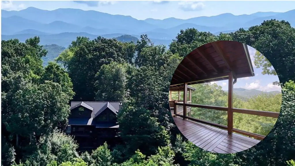 54 Moon Shadow View S, Blairsville, GA 30512 - #1