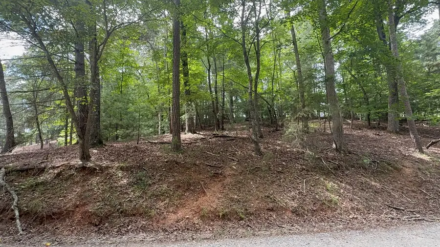 lot 679 Cypress Circle, Ellijay, GA 30540 - #2