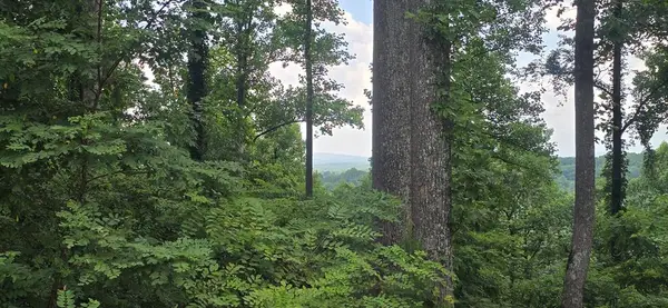 001 Winding Ridge, Blairsville, CA 30512