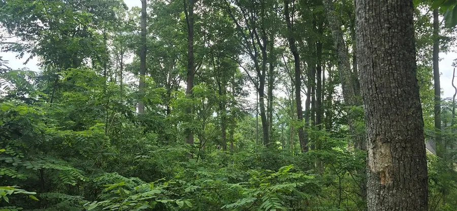 001 Winding Ridge, Blairsville, CA 30512 - #2