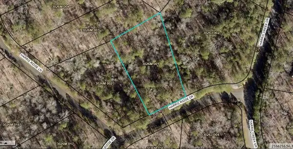 0 Harris Ridge Drive, Ellijay, GA 30540