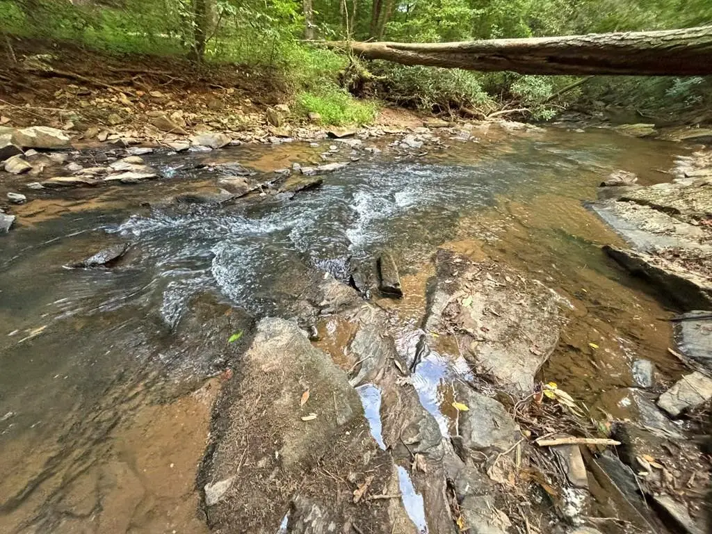 396 Mt. Springer Road, Ellijay, GA 30540 - #1