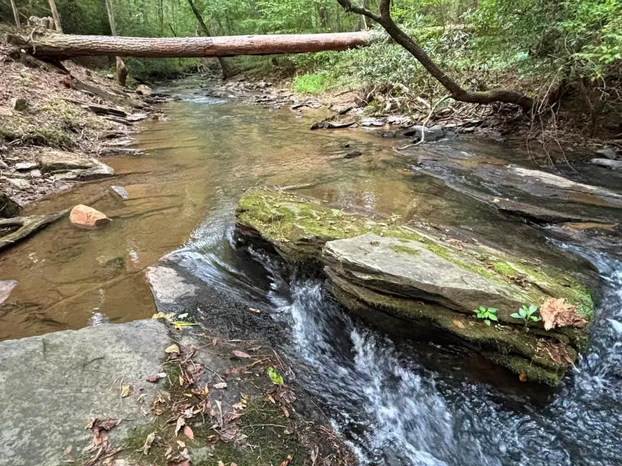 396 Mt. Springer Road, Ellijay, GA 30540 - #2
