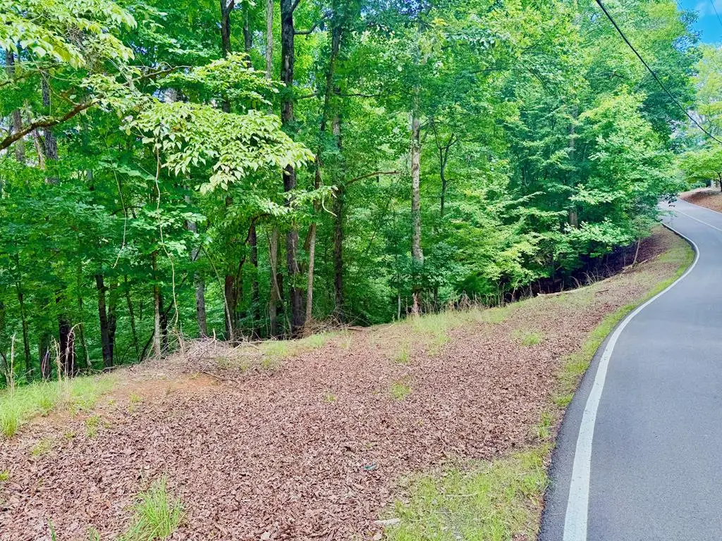 2246 Palisade Drive, Ellijay, GA 30540 - #1