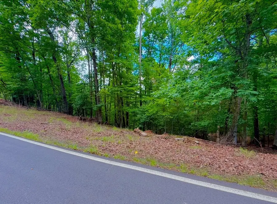 2246 Palisade Drive, Ellijay, GA 30540 - #2