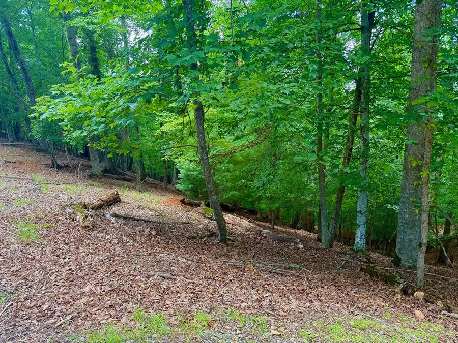 2246 Palisade Drive, Ellijay, GA 30540 - #3