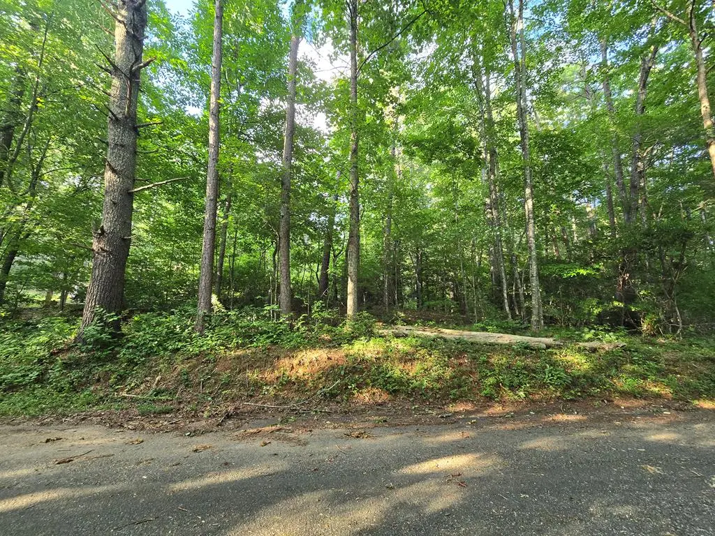 000 Colwell Church Road, Epworth, GA 30541 - #1