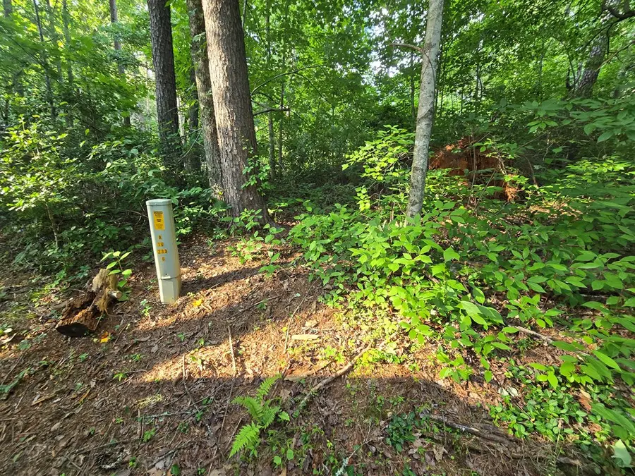 000 Colwell Church Road, Epworth, GA 30541 - #2