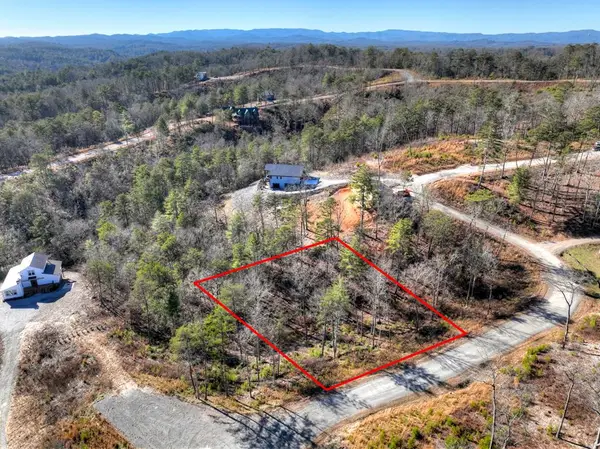 lot 16 Mountain Laurel Ridge, Mineral Bluff, GA 30559