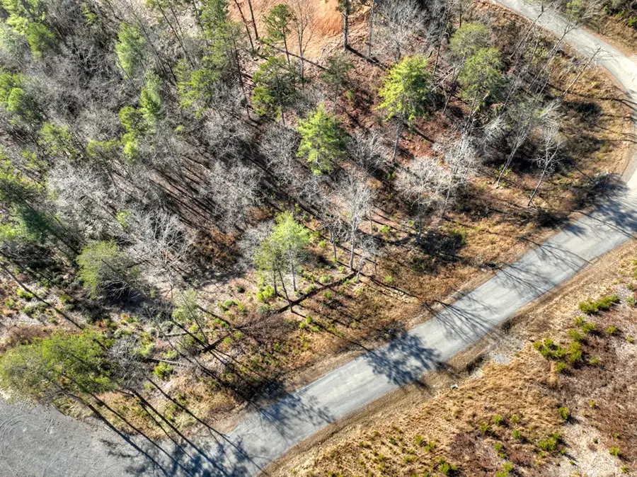 lot 16 Mountain Laurel Ridge, Mineral Bluff, GA 30559 - #2