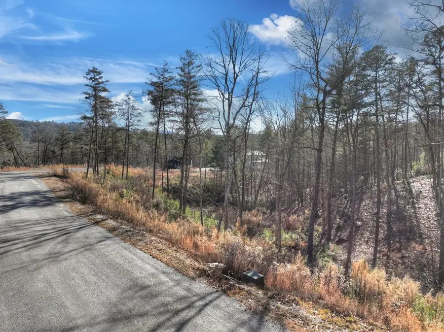 lot 16 Mountain Laurel Ridge, Mineral Bluff, GA 30559 - #3