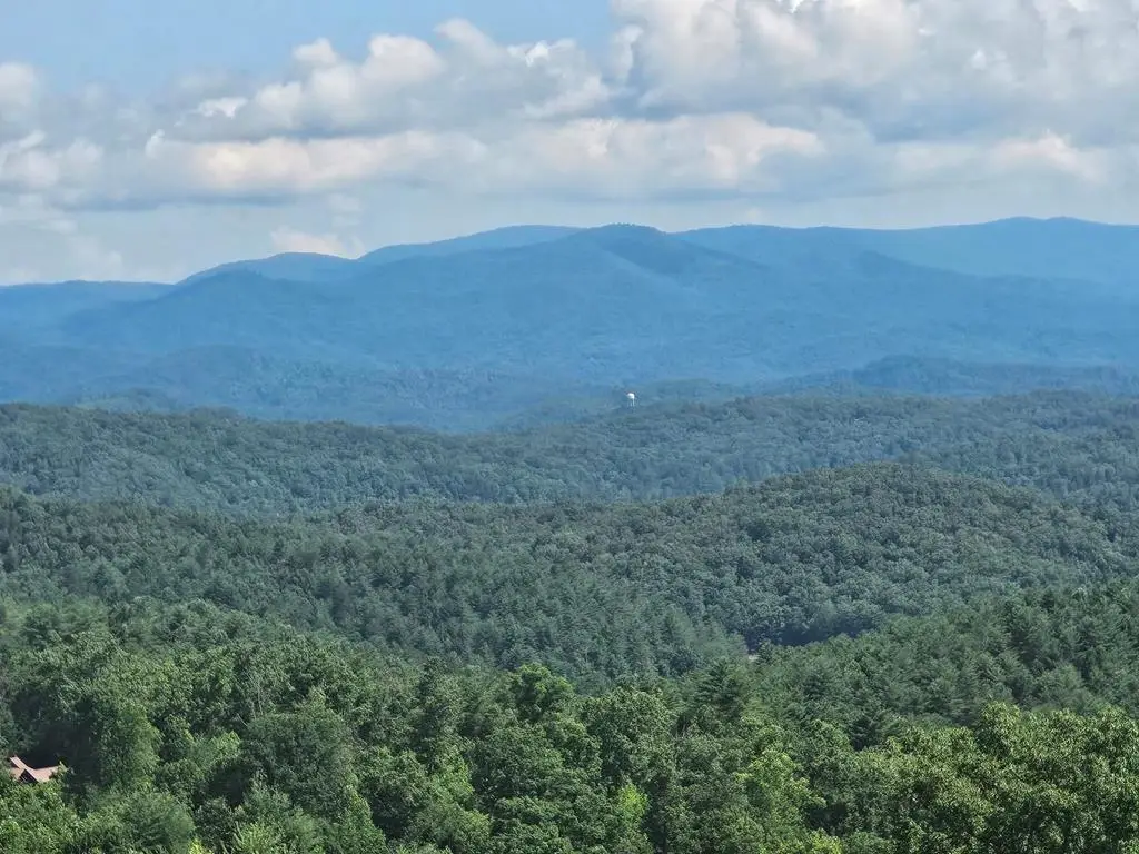 31 Acres Upper Bear Paw Road, Murphy, NC 28906 - #1