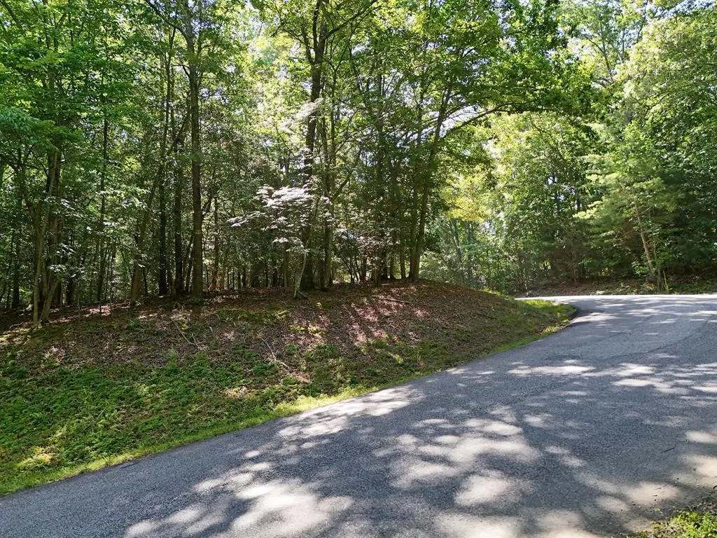 Lot 1 Eagle Bend Road, Blairsville, GA 30512 - #1