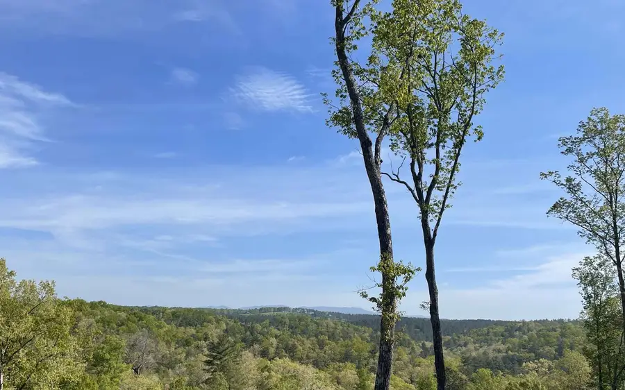 LT118 S Jakes Landing Way, Ellijay, GA 30540 - #2