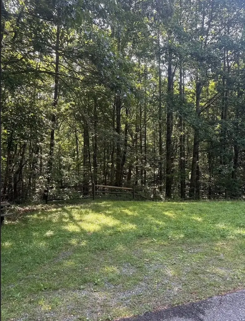 00 Burnt Mountain, Jasper, GA 30143 - #2