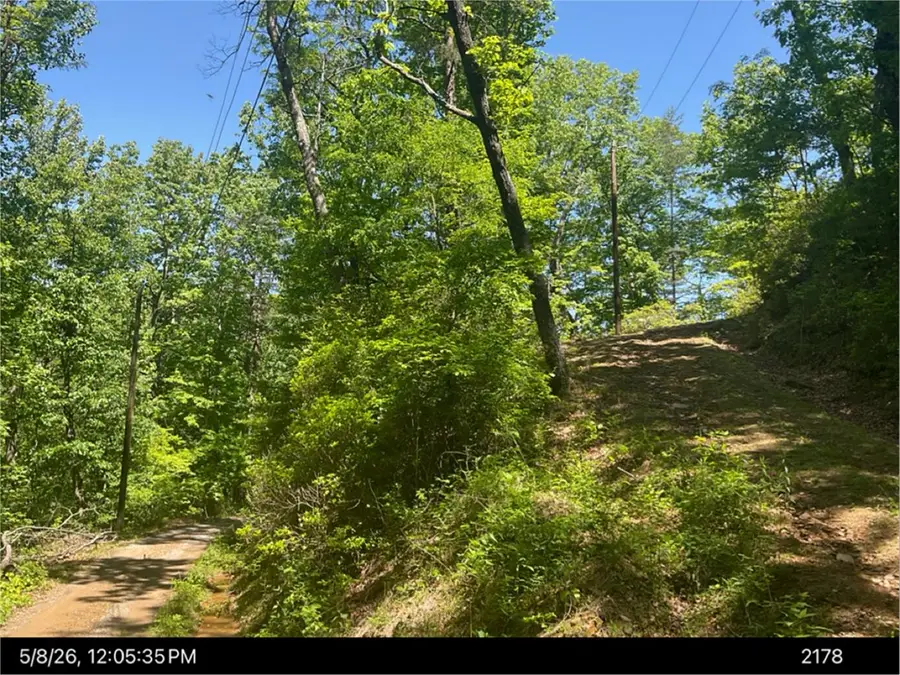 00 Burnt Mountain, Jasper, GA 30143 - #3