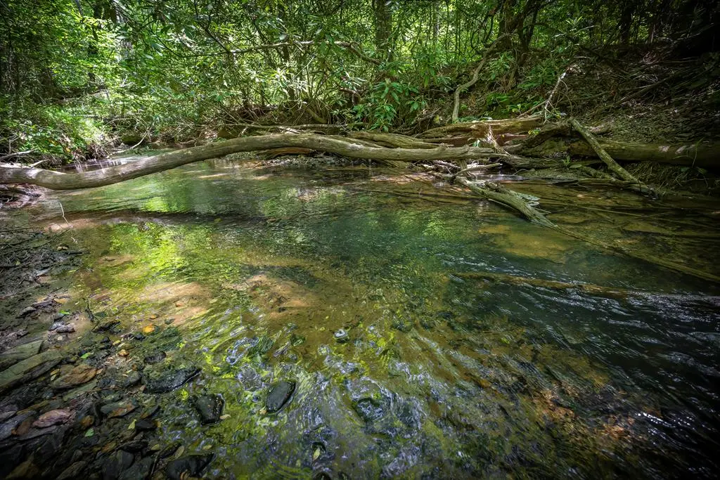 Lot 1-1A Jonica Gap Road, Mineral Bluff, GA 30559 - #1