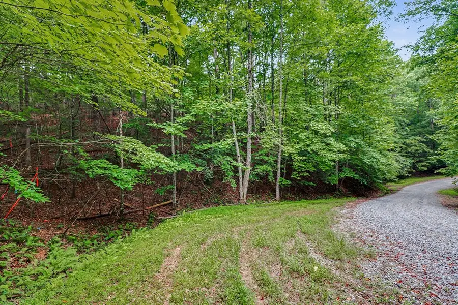 148 Alcan Way, Ellijay, GA 30540 - #2