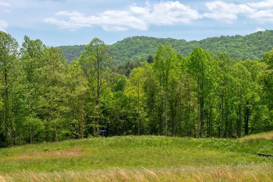 Lot 15 Waterstone Way, Mineral Bluff, GA 30559 - #2