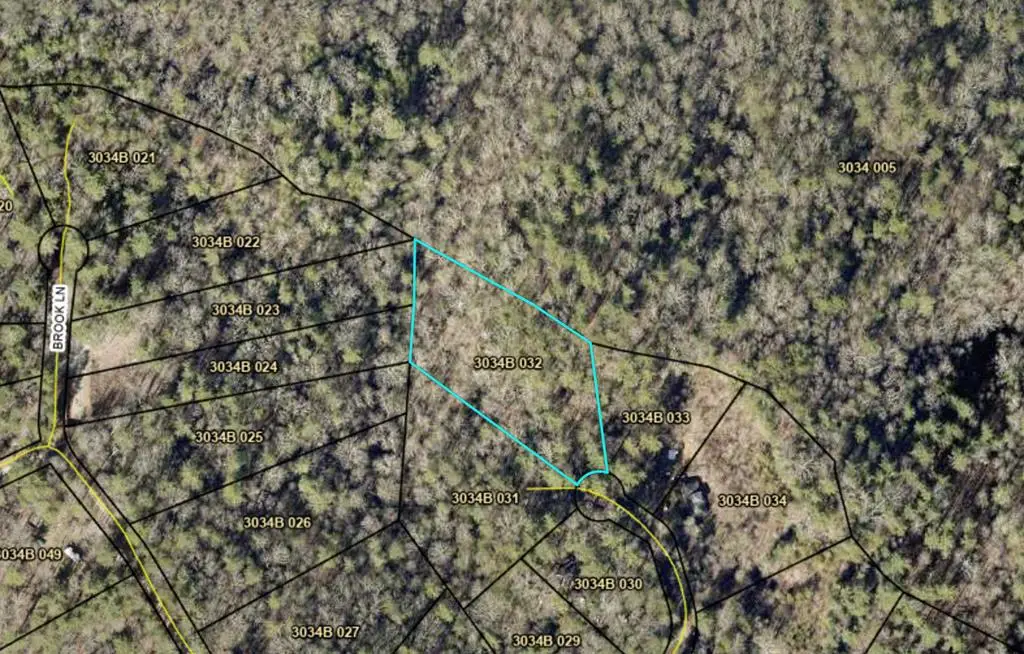 Lt 33 Brook Court, Ellijay, GA 30540 - #1