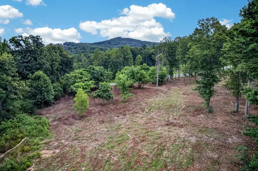 LT 227 Vineyard At Yukon, Talking Rock, GA 30175 - #2