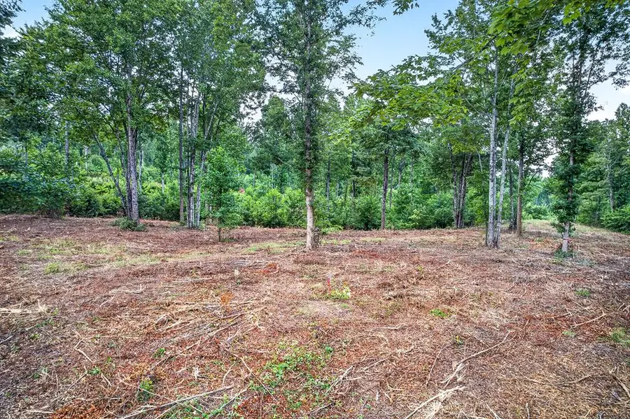 LT 227 Vineyard At Yukon, Talking Rock, GA 30175 - #3
