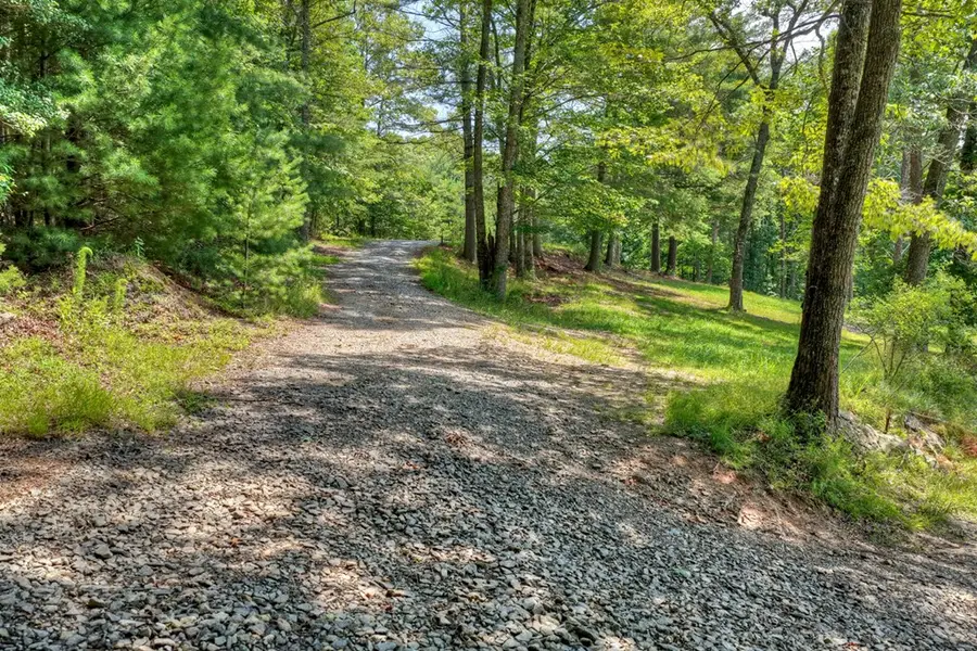 963 Black Ankle Lane, Blue Ridge, GA 30513 - #3