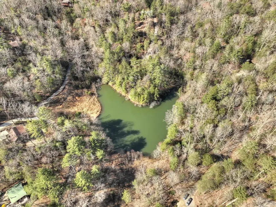 1480 Hidden Lake Drive, Ellijay, GA 30540 - #2