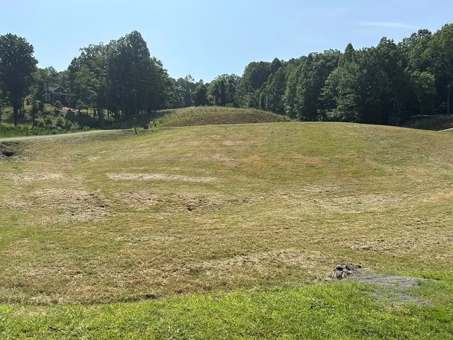 Lot 29 Big Valley Overlook, Morganton, GA 30560 - #2