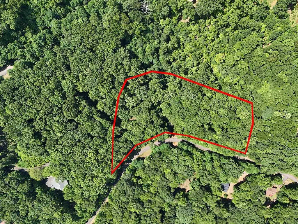Lot 71 Chicory Drive W, Blairsville, GA 30512 - #1