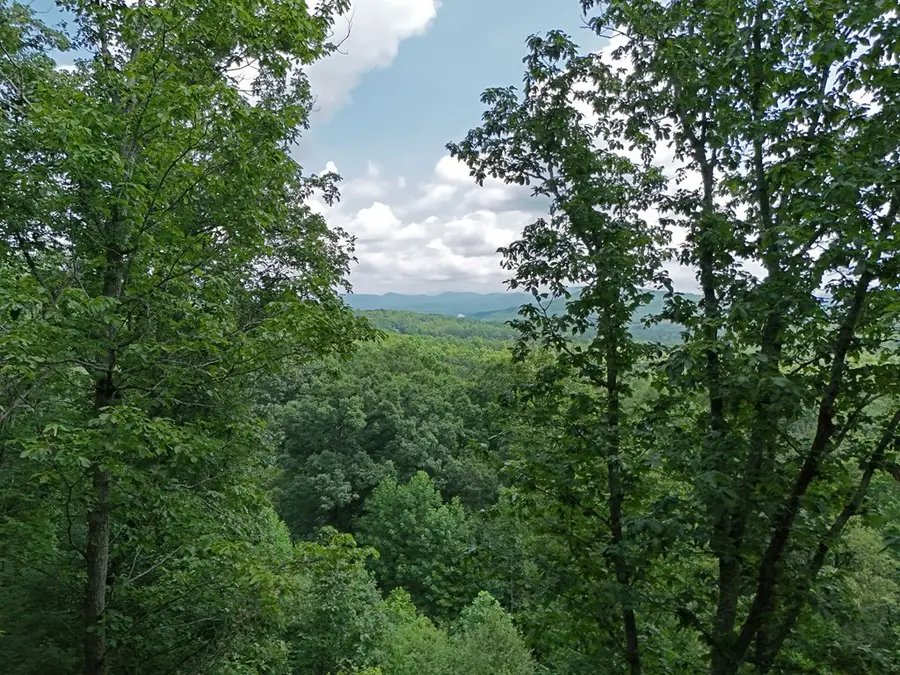 Lot 71 Chicory Drive W, Blairsville, GA 30512 - #3