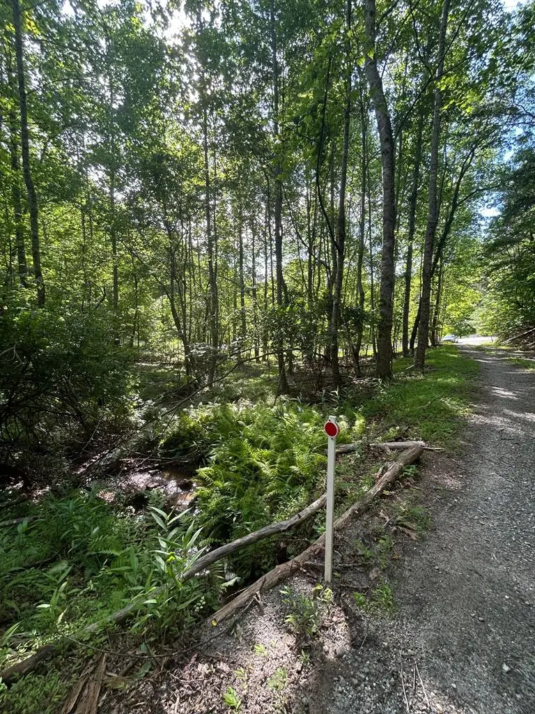 0 East Two Pond Lane, Hayesville, NC 28904 - #1