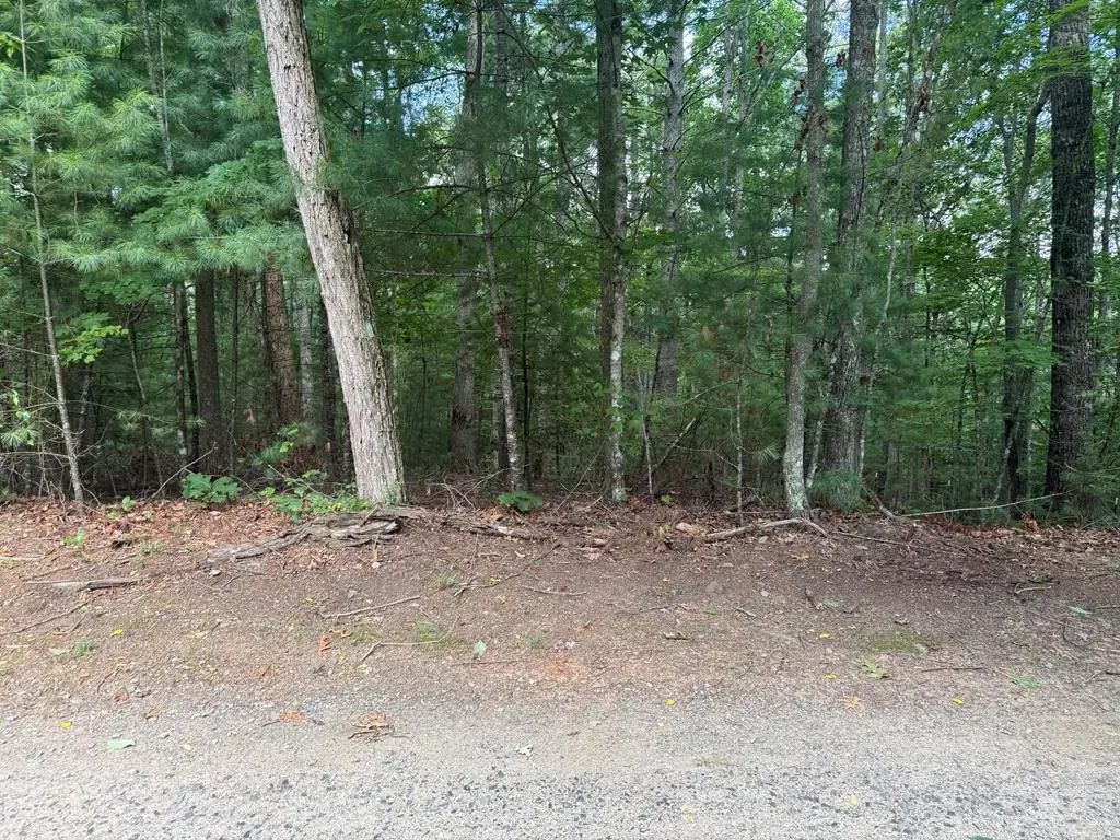 0 Guy Eller Road, Murphy, NC 28906 - #1