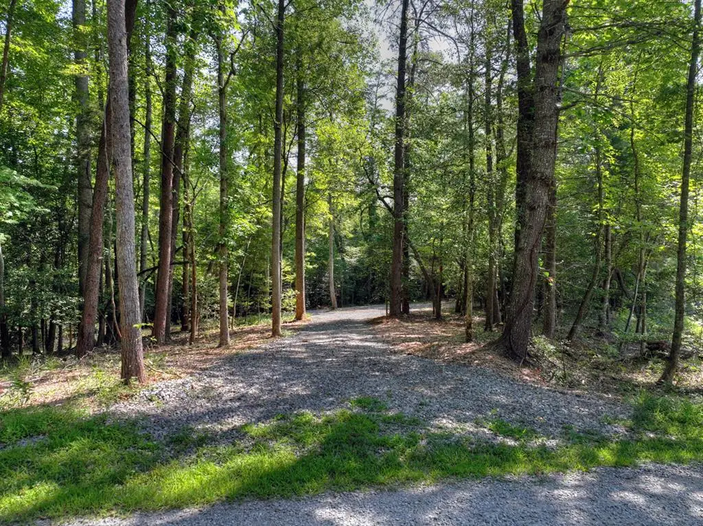 2.64 acr Grace Drive, Blue Ridge, GA 30513 - #1